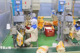 Le Vietnam conserve sa troisième place parmi les fournisseurs de riz à Singapour. Photo: VNA