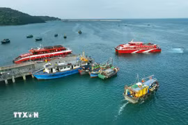Quang Ninh enregistrée et met à jour la totalité de ses 4 116 navires de pêche de 6 mètres et plus sur la base de données nationale Vnfishbase. Photo: VNA