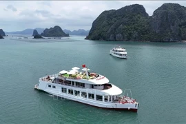Tous les bateaux touristiques de la baie d'Ha Long, dans la province de Quang Ninh, devront être équipés d'un système d'identification automatique. Photo: VNA