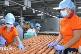 Les entreprises vietnamiennes se trouvent face à une opportunité historique de s'affirmer sur la scène mondiale. Photo: VNA