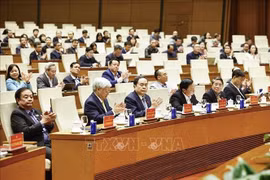 Le président de l'Assemblée nationale Tran Thanh Man (3e, à gauche, première ligne) à la conférence pour annoncer les résultats du 14e Congrès national du Parti communiste du Vietnam. Photo: VNA