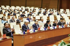 Le président de l'Assemblée nationale Tran Thanh Man (3e, à gauche, première ligne) à la conférence pour annoncer les résultats du 14e Congrès national du Parti communiste du Vietnam. Photo: VNA