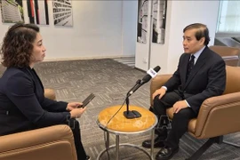 Le professeur Vu Minh Khuong, de l'École de politiques publiques Lee Kuan Yew à Singapour, répond à une interview de l'Agence vietnamienne d'information. Photo: VNA