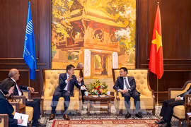 Le ministre des Sciences et des Technologies, Nguyên Manh Hung (droite), reçoit Daren Tan, directeur général de l'OMPI. Photo: VNA