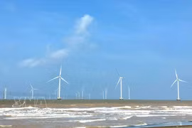 La province de Vinh Long met en service 13 parcs éoliens d'une capacité totale de 572 MW. Photo : VNA
