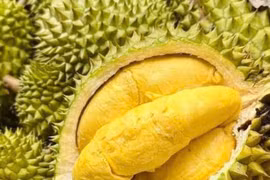 Les exportations de durian ont été multipliées par plus de dix entre mai et juillet 2025 par rapport aux quatre premiers mois de l’année, atteignant 207.000 tonnes. Photo; Vietnam+ 