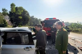 La collision s'est produite le 26 novembre vers 13h30 sur la Nationale 1A, à hauteur de la commune de Nhân Ly, lorsqu'un tracteur routier immatriculé 98E-000.77 a percuté une voiture de tourisme immatriculée 19A-483.13. Photo: VNA