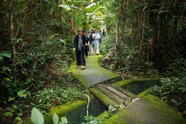 Des touristes visitent la forêt dans le Parc national de Lo Go - Xa Mat. Photo : VNA