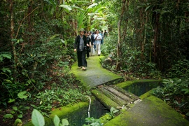 Des touristes visitent la forêt dans le Parc national de Lo Go - Xa Mat. Photo : VNA