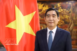 L’ambassadeur du Vietnam en Thaïlande, Pham Viet Hung. Photo: VNA
