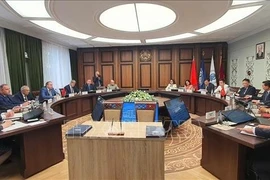 Les délégués particiopent au séminaire. Photo: VNA