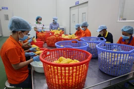Préparation des fruits pour la production de jus à l'usine de la société par actions Wana Beverage, implantée dans la zone industrielle de Chau Duc, à Ba Ria-Vung Tau. Photo : VNA