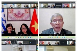Réunion en ligne entre la Fédération des industries de Grèce et l'Association vietnamienne du bois et des produits forestiers (Viforest). Photo: VNA