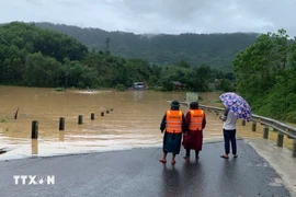 Une section de la route nationale traversant Quang Tri est sous les eaux. Photo: VNA