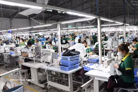 Entre janvier et juillet, le Vietnam enregistre plus de 125 900 créations d'entreprises, soit une hausse de 16,9 % en glissement annuel. Photo: VNA