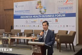 Le Dr Nguyên Phuc Nam, directeur adjoint du Département du développement des marchés internationaux du ministère de l'Industrie et du Commerce. Photo: VNA