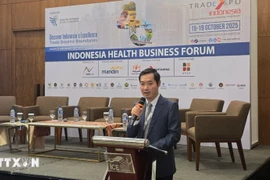 Le Dr Nguyên Phuc Nam, directeur adjoint du Département du développement des marchés internationaux du ministère de l'Industrie et du Commerce. Photo: VNA