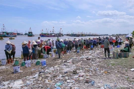 Le marché aux poissons le plus animé de Ninh Binh