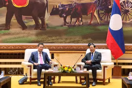 Le Premier ministre lao Sonexay Siphandone (droite) reçoit l'auditeur général du Vietnam Nguyen Huu Nghia. Photo: VNA