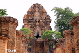 Les tours Cham de Ponagar. Photo: VNA