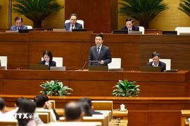 Le ministre des Sciences et des Technologies, Nguyen Manh Hung, présente le projet de loi sur l'intelligence artificielle. Photo : VNA 