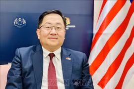 L'ambassadeur de Malaisie au Vietnam, Dato' Tan Yang Thai. Photo: VNA