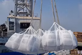 Les exportations de riz du Vietnam devraient dépasser les 8,2 millions de tonnes. Photo: VNA