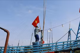 Les pêcheurs hissent le drapeau national pour affirmer la souveraineté des mers et des îles du pays. Photo: VNA