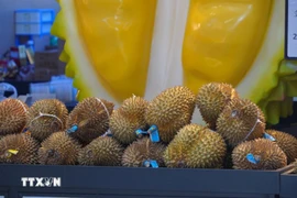 Triplement des exportations de durian congelé au premier semestre