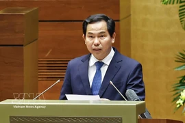 Le Quang Manh, secrétaire général de l’Assemblée nationale, chef de son bureau et chef du bureau du Conseil électoral national, s'exprime lors de la réunion. Photo: VNA