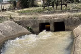 Des projets d’ouvrages hydrauliques financés par l’APD et des prêts concessionnels améliorent l’efficacité de la production agricole dans le sud de la province de Khanh Hoa. Photo : VNA