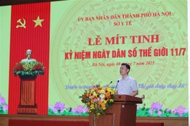 Le directeur de l’Autorité de la population du Vietnam, Lê Thanh Dung, s'exprime au Meeting. Photo: VNA