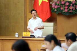 Le vice-Premier ministre Ho Duc Phoc s'exprime à la réunion. Photo: VNA