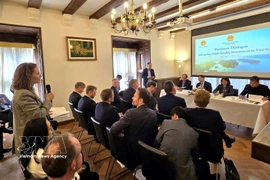 Des représentants d'entreprises danoises participent au dialogue. Photo : VNA
