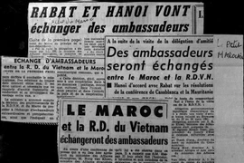 Le Vietnam et le Maroc intensifient leur coopération intégrale