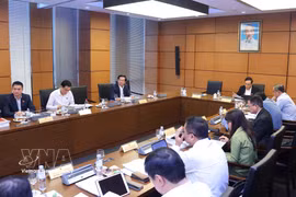 La délégation de députés de l'Assemblée nationale de Hô Chi Minh-Ville tient une discussion de groupe. Photo : VNA