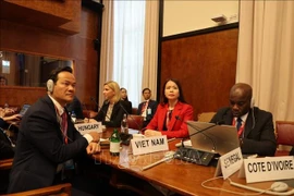La vice-ministre des Affaires étrangères du Vietnam, Nguyên Minh Hang, participe au débat général de la CNUCED16. Photo: VNA