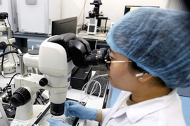 La Loi sur la science, la technologie et l’innovation entrera en vigueur le 1er octobre prochain. Photo: VNA