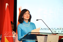 L'ambassadrice du Vietnam au Maroc, Le Kim Quy. Photo: VNA