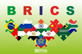 Les drapeaux nationaux des pays membres des BRICS. Photo: VNA