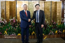 Le secrétaire général du Parti communiste du Vietnam (PCV) et président vietnamien, To Lam (gauche), et le Premier ministre singapourien, Lawrence Wong. Photo: VNA