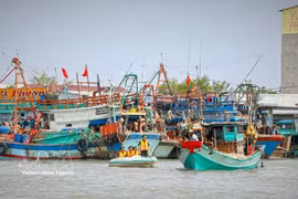 Les autorités suppervisent des bateaux de pêche afin de sensibiliser la communauté des pêcheurs à la nécessité de retirer le carton jaune. Photo : VNA 