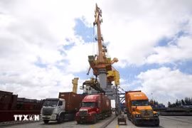 Les camions transportent des marchandises à l'exportation au port de Tan Vu, à Hai Phong. Photo : VNA