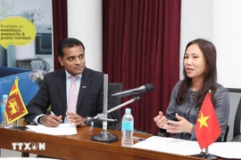 L’ambassadrice du Vietnam au Sri Lanka, Trinh Thi Tam, répond aux questions des entreprises. Photo: VNA