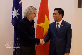 Le vice-président de l'Assemblée nationale du Vietnam, Nguyen Doan Anh, rencontre la vice-présidente de la Chambre des représentants australienne, Sharon Claydon. Photo: VNA