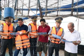 Campagne de sensibilisation contre la pêche illicite, non déclarée et non réglementée (INN) destinée aux armateurs et aux propriétaires de navires de pêche hauturière au port de pêche d'An Hoa, à Da Nang. Photo : VNA