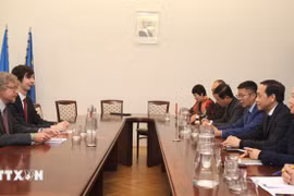 Séance de travail entre la délégation de la Commission centrale des affaires intérieures du Parti et des représentants du ministère tchèque de la Justice. Photo: VNA