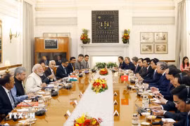 Porter le Partenariat stratégique global renforcé Vietnam – Inde à une nouvelle phase de développement