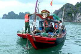 Photo d'illustration: VNA