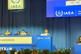 L'ambassadeur Vu Lê Thai Hoàng, représentant permanent du Vietnam auprès de l’AIEA et des organisations internationales à Vienne, s'exprime à la séance plénière. Photo: VNA